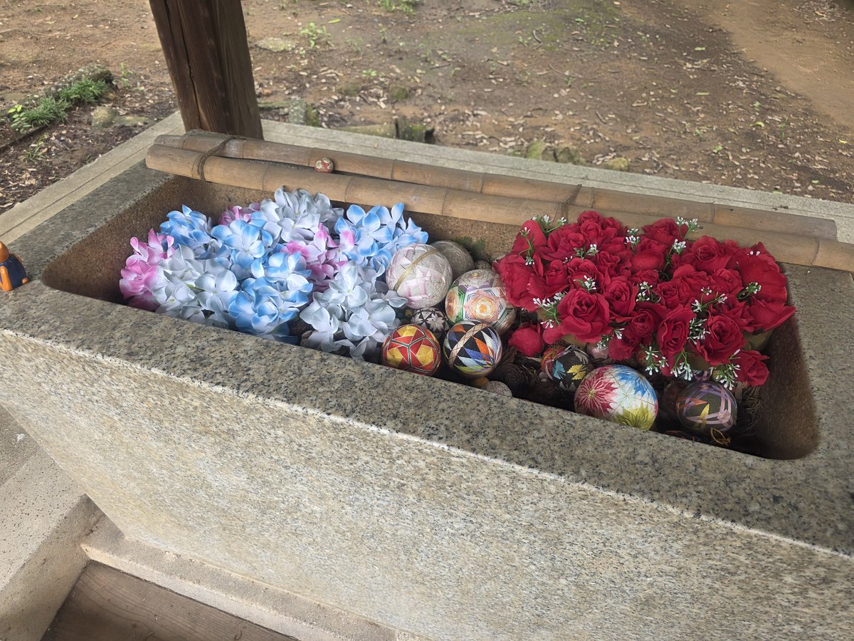 miisuke_nyan's tweet photo. 群馬県太田市
#高山神社

2026.7.1参拝
月参り

御朱印を頂きました😊
・ゆずファミリー
・最強コンビ

いつもありがとうございます🙏

娘っち御朱印「あじさい」は、事前お預けしてきました😝 https://t.co/ILyue6mWsn