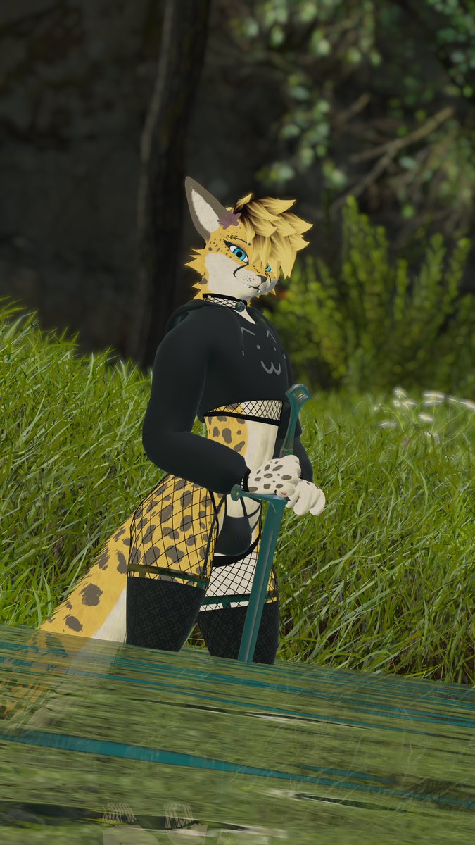 SolsticeSol_ tweet picture