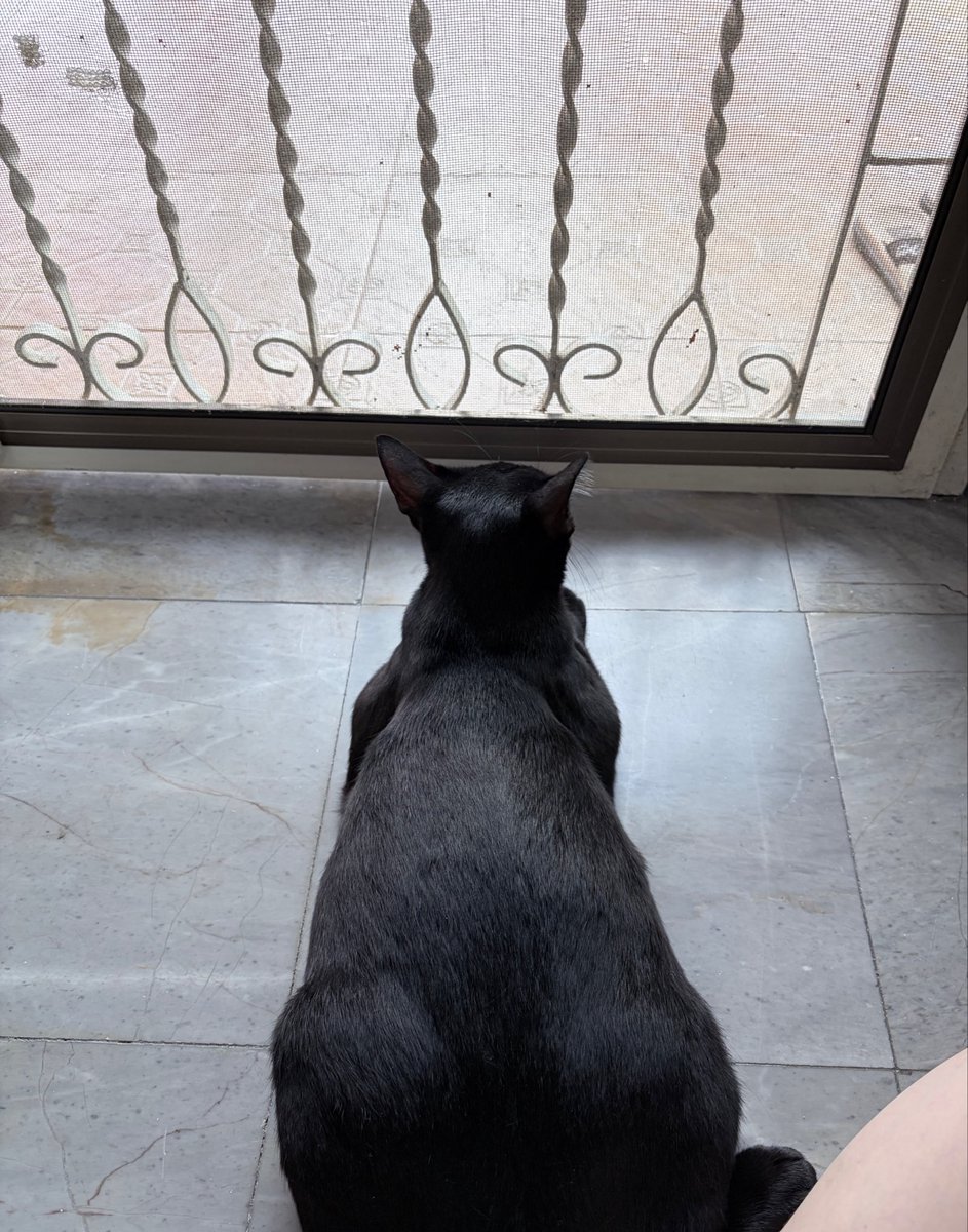 chocopiie3's tweet photo. พิๆว่าผมอ้วนไหมค้าบ หรือผมจะต้องลดนนค้าบ🥺 https://t.co/Rkg2cqZvwI