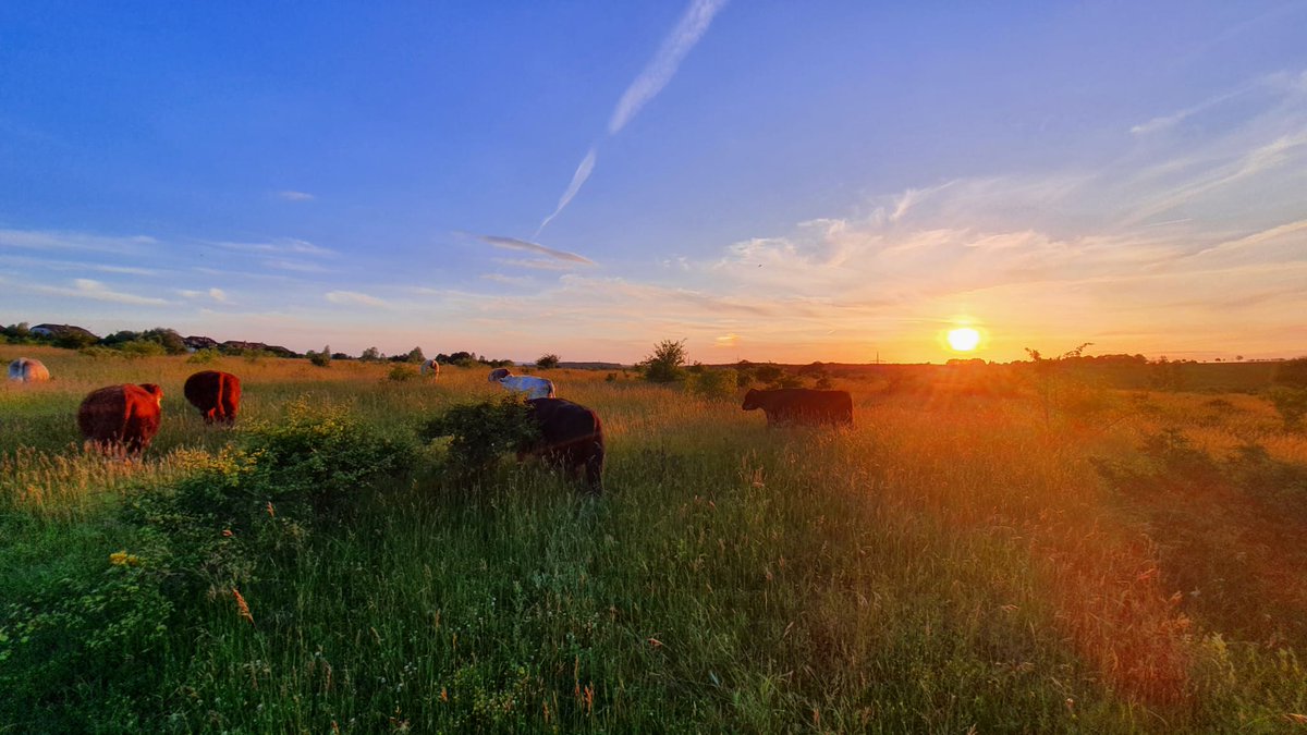 Ellis_Unit_Jena's tweet photo. 🌡️Jena just experienced its hottest period (since 1824).
During the historic late-June 2026 heatwave, temperatures exceeded 39°C on two consecutive days, and June was about 3°C warmer than the 1991–2020 average. The first half of 2026 was 0.7°C warmer (1991–2020). @DWD_presse https://t.co/x3F9kZKucL