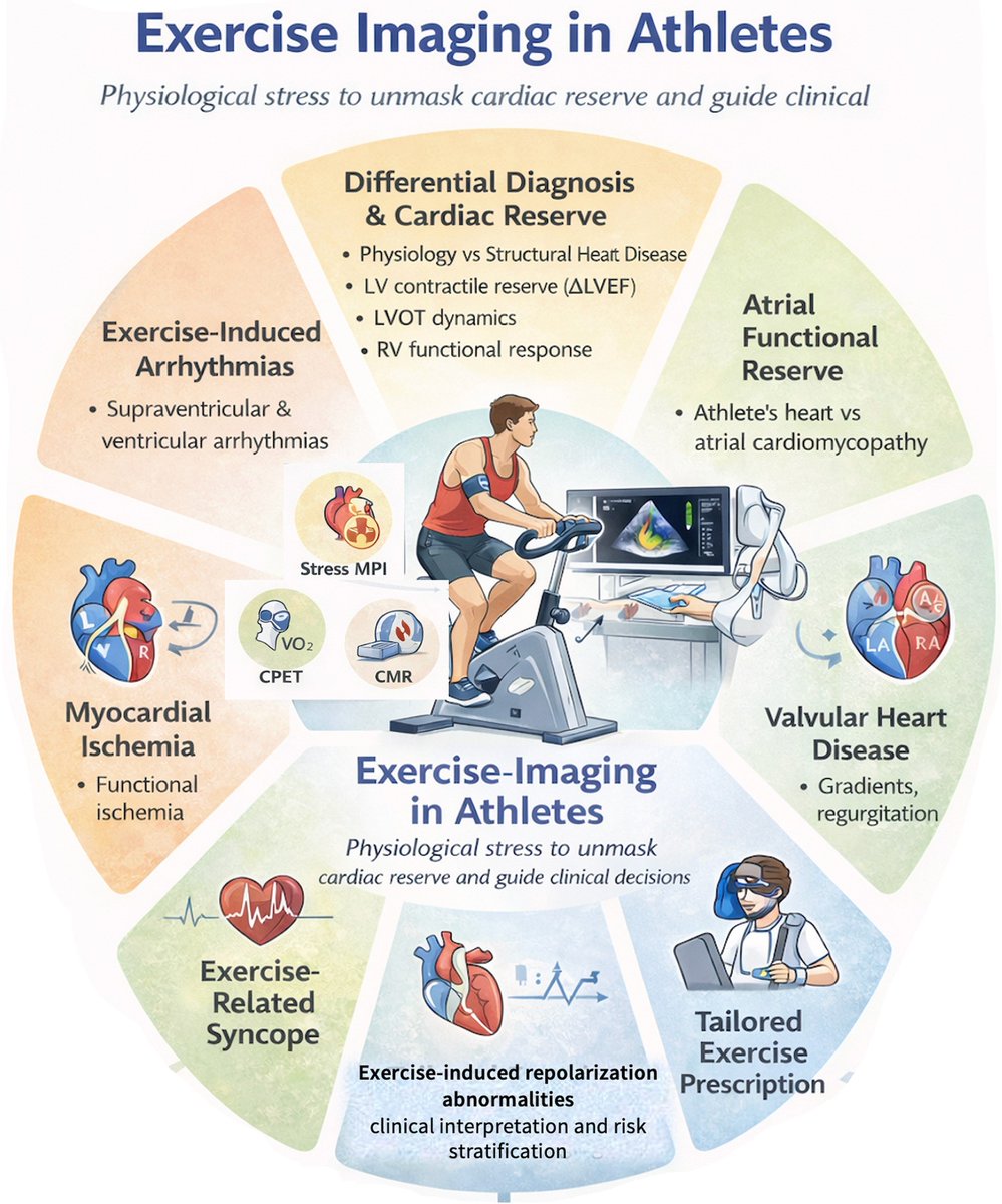 Sports_CardioNL tweet picture