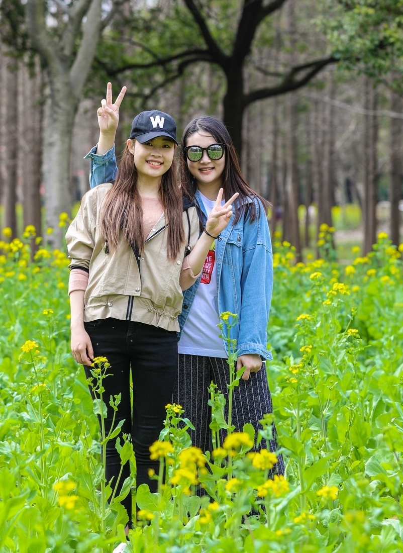 投資 TLAK 君; tweet media