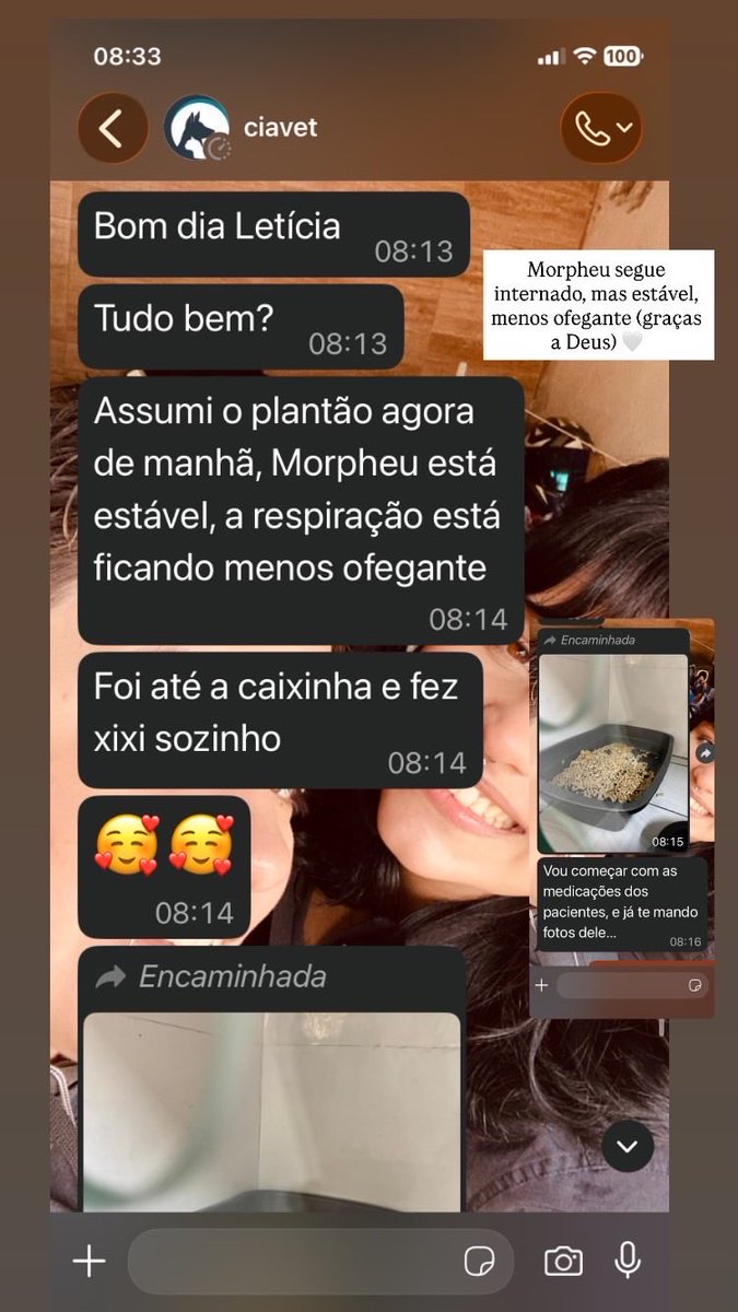 fluoxetiscia's tweet photo. Atualizações de hoje mais cedo do morpheu🤍 https://t.co/MjkCOD6qP0