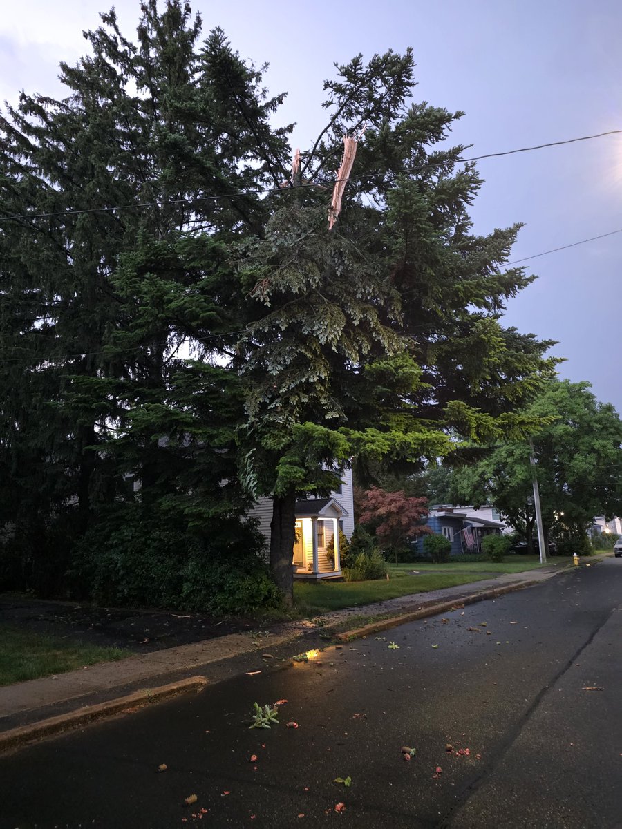 ValkyrieWX's tweet photo. @Danbury_WX Yeah at about 4am, had quite the close strike around 500ft away from me. Here's the aftermath https://t.co/jw6Mfo9CdE