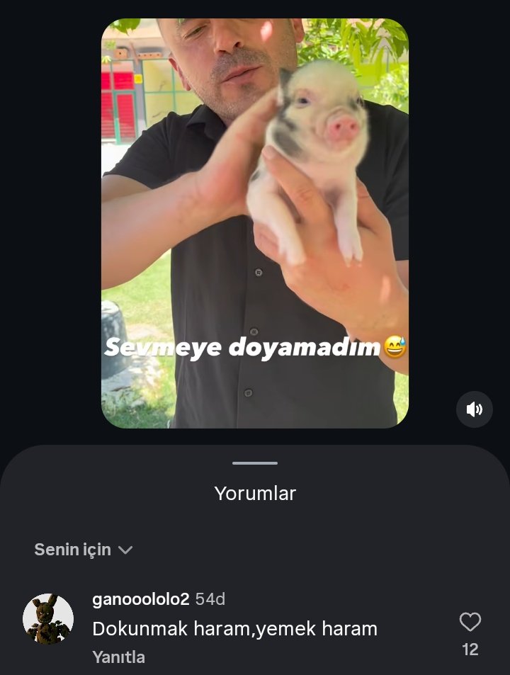 Selman (Prens Olmayan) tweet media