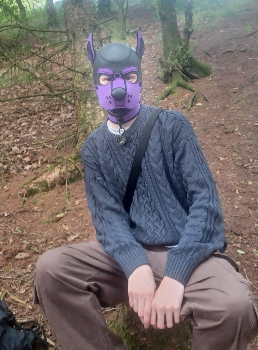 pup_indigo's tweet photo. Joyous woodland frollicking https://t.co/7dcYPSjwNY