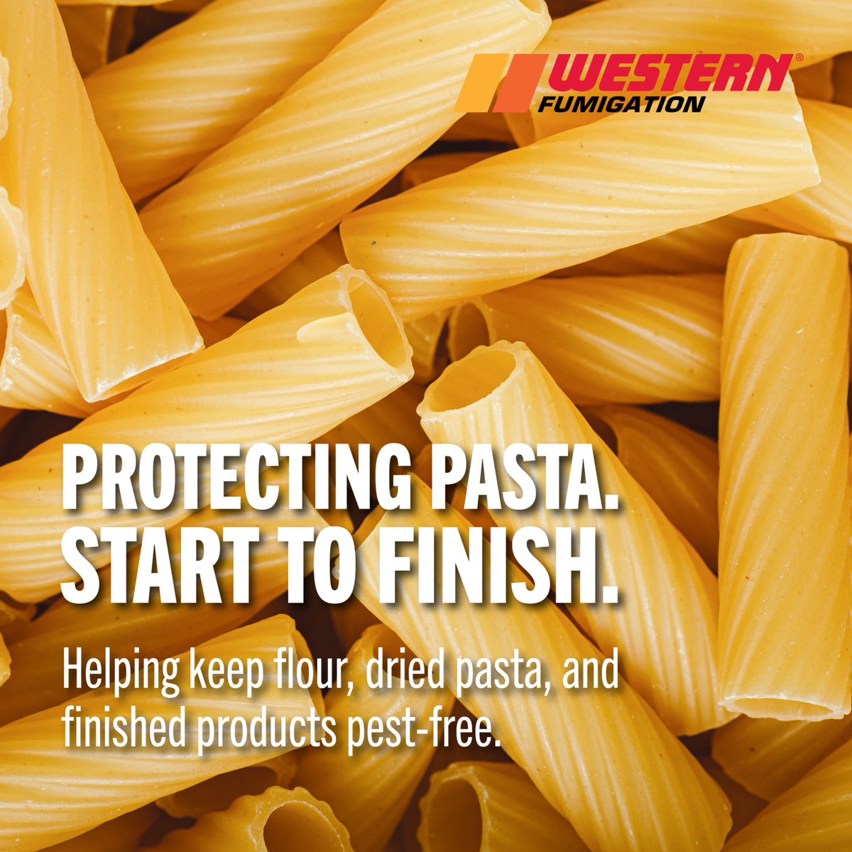 WFumigation's tweet photo. We protect all different shapes of pasta. Stored product pests threaten the pasta industry at every step of the noodle making process. We provide trusted fumigation solutions to keep finished products protected and ready to ship. https://t.co/6RNzcBTN8o https://t.co/f9Ru84YwP3