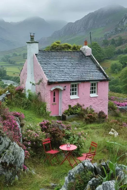 petalesblancs's tweet photo. colour palette https://t.co/tzltoSWpi3