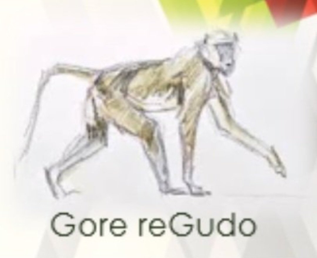 soldermanby's tweet photo. @TendayiZinyama Gore re Gudo https://t.co/71jn5jQLjJ