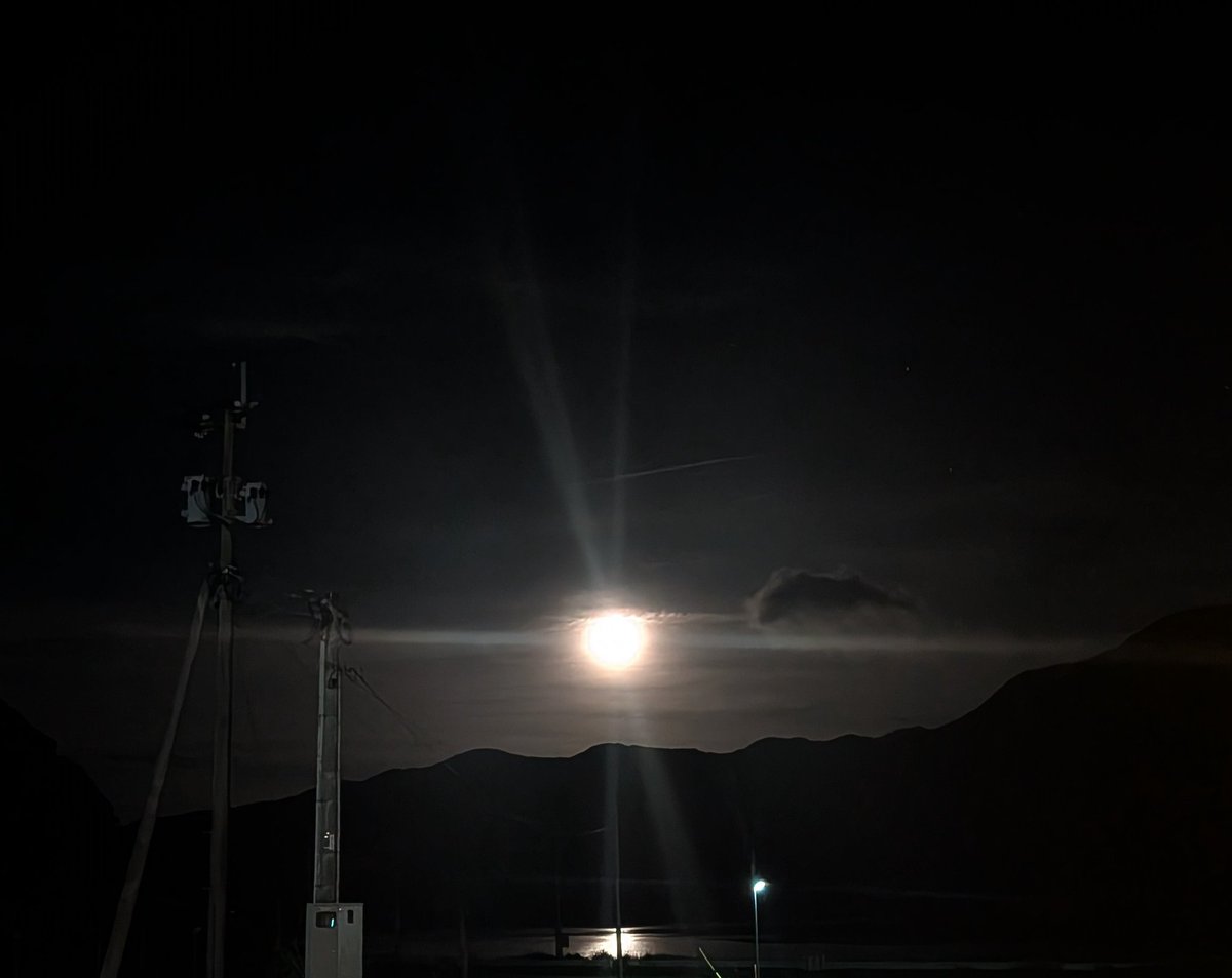 agtdys's tweet photo. 少しだけ海入って遊んで泥染め体験で疲弊してナイトツアーで希少生物にワクワクして、奄美大島楽しいしかない。
帰りたくなーーい！！！ https://t.co/I4fF395Ree