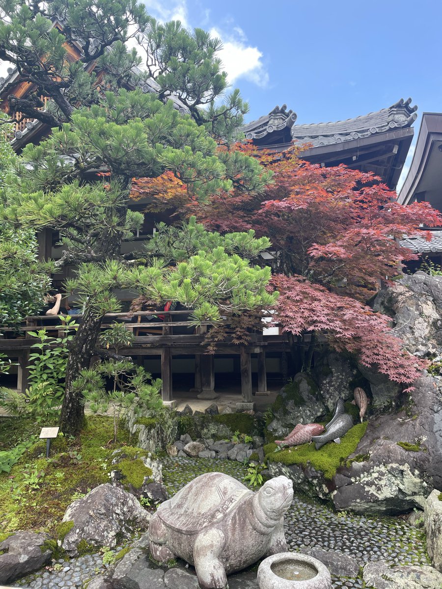 wine14wine's tweet photo. 松尾大社/京都市西京区
全国の酒造家の信仰が篤いお酒の神様を祀る神社
神輿庫前に奉納された酒樽は圧巻
俳優 佐々木蔵之介氏のご実家佐々木酒造の「聚楽第」の樽も並ぶ
境内には無料の「お酒の資料館」があり酒造りの工程やお酒に関する展示を見学できる

鈴虫寺から徒歩10分位なので帰り道に参拝 https://t.co/BJrP27oU5F