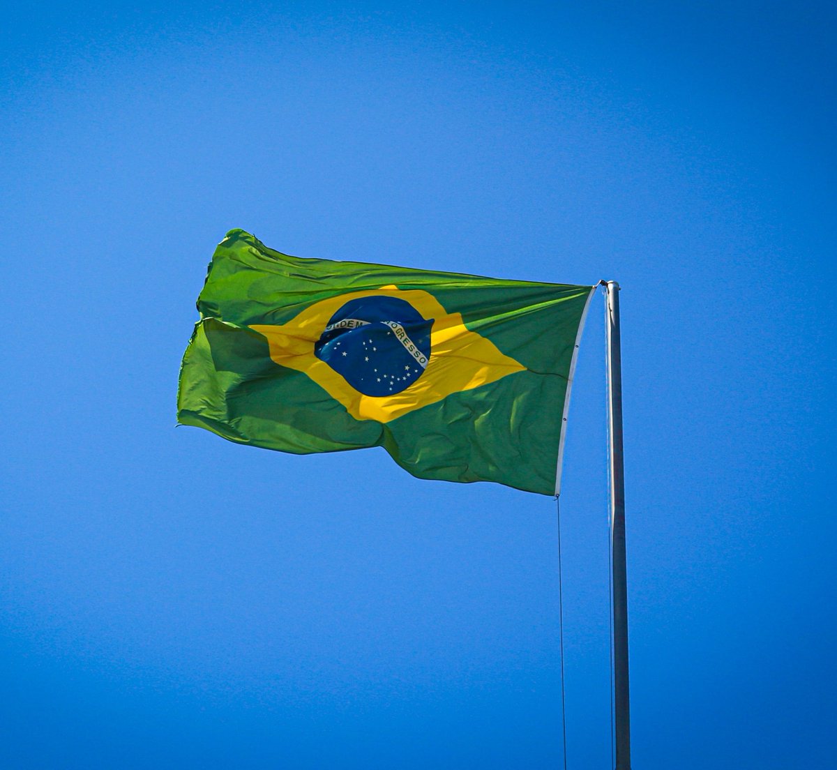earthcurated's tweet photo. One in five of the world's species live in Brazil. With over 116,000 types of animals living across 6 unique landscapes, keeping this massive ecosystem safe is vital for the whole planet. 🌎🇧🇷 https://t.co/HfGkBNwJzu