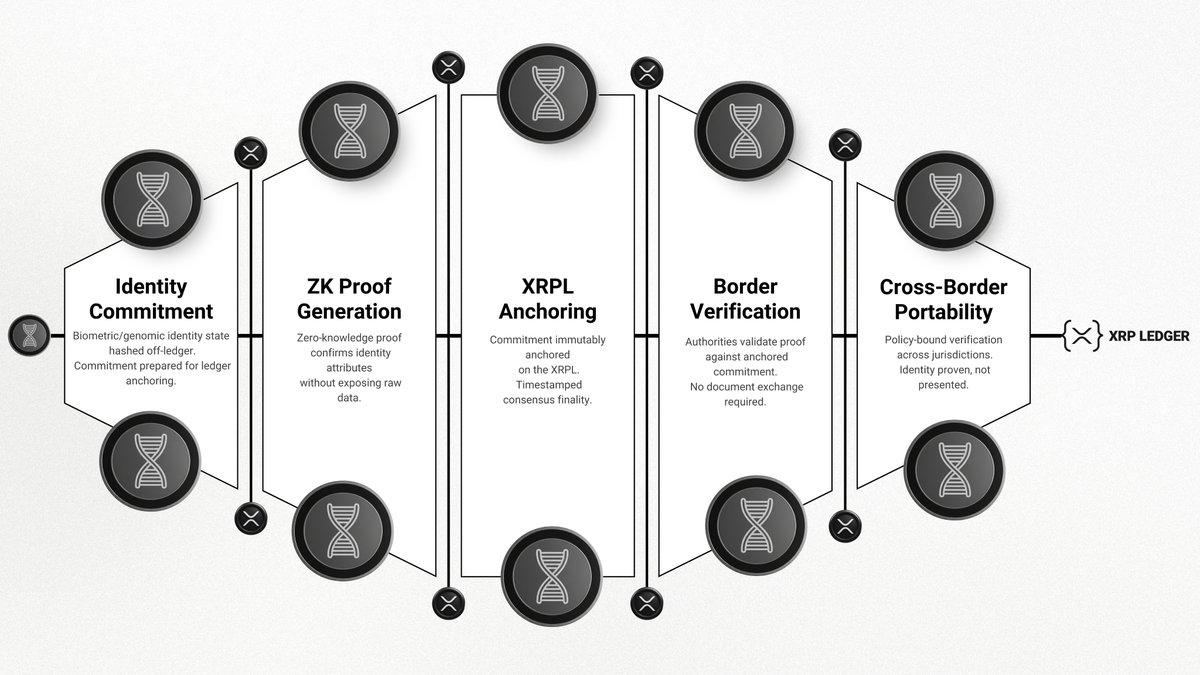 DNA Protocol tweet media