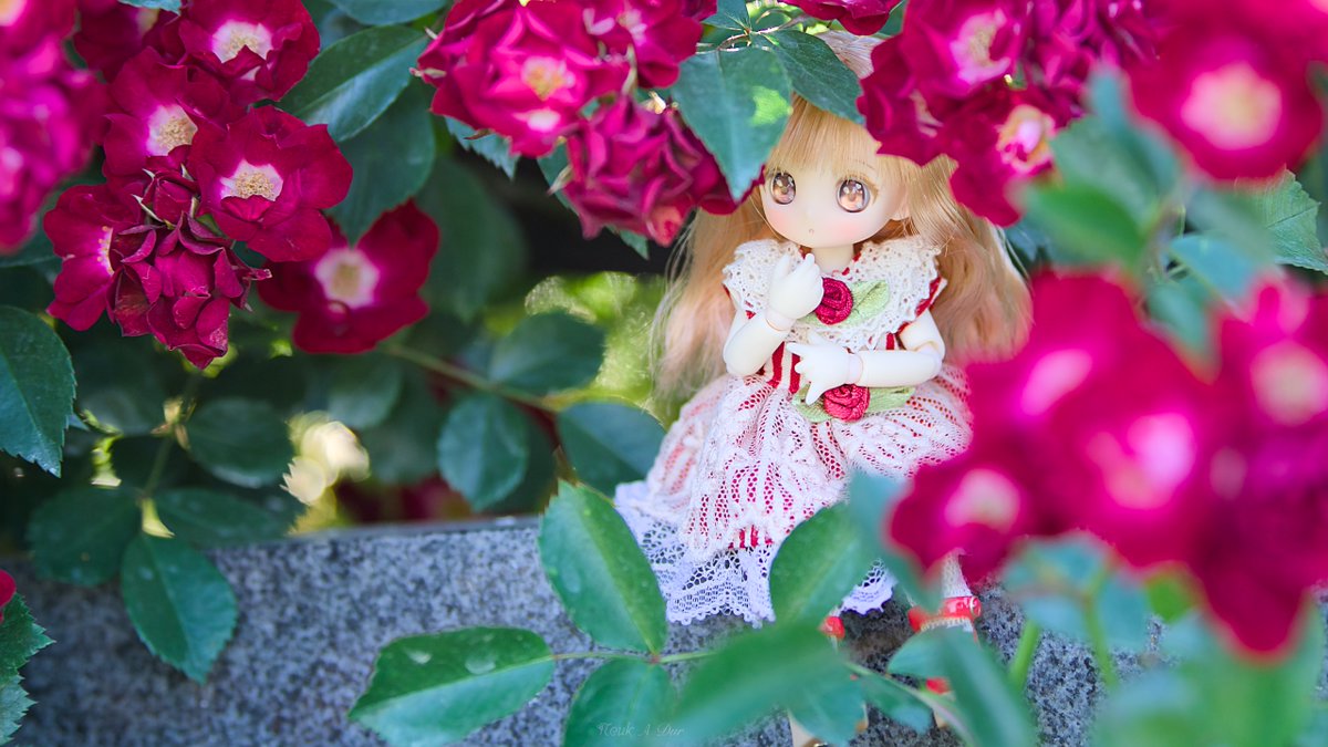 ⿻ #SugarCups ⿻ #見た人はお花と写ったドール写真をアップする