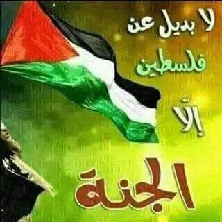 almostasa's tweet photo. @drassagheer https://t.co/Cfca4kvHht