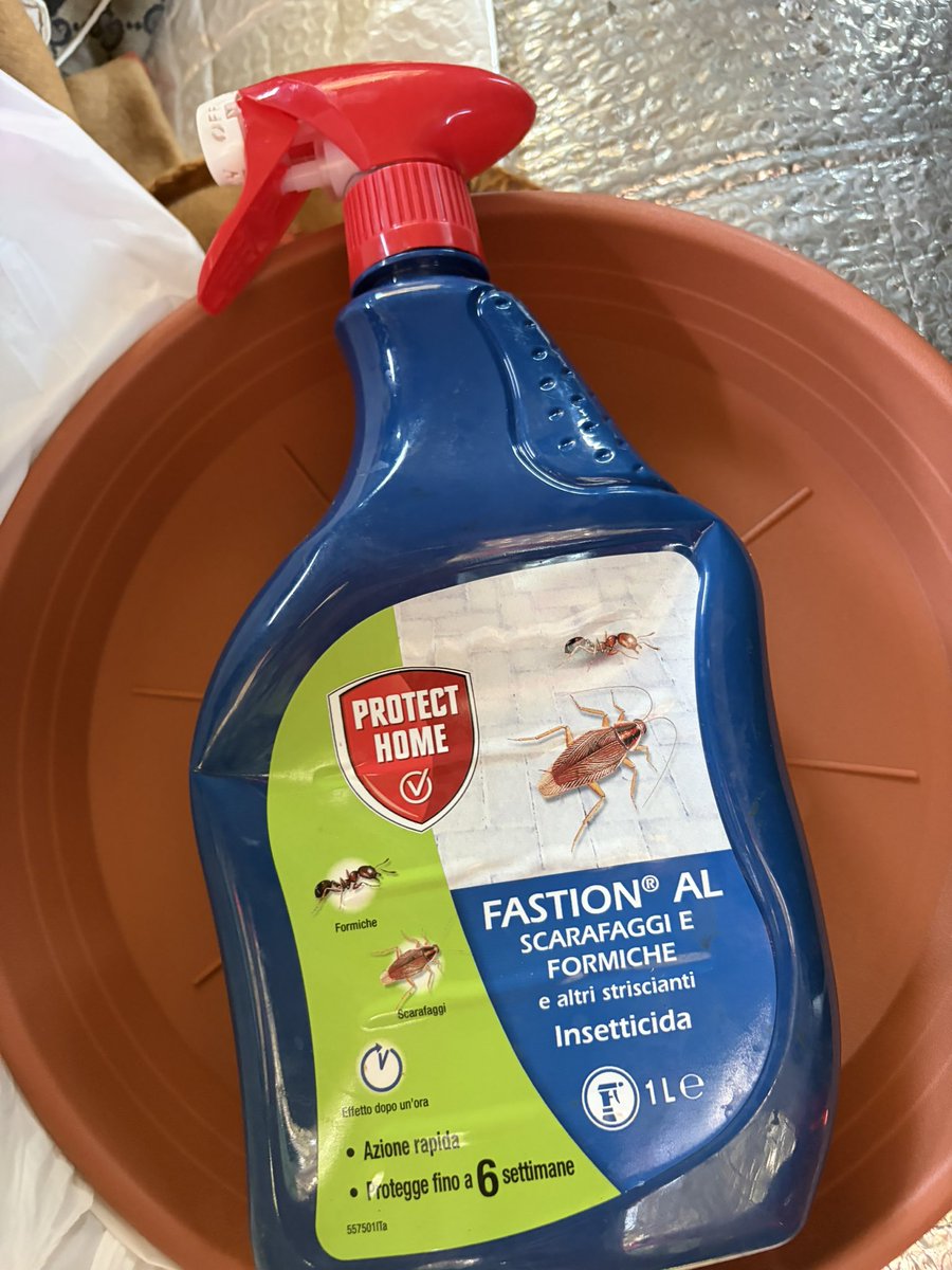 amici_da's tweet photo. Acquistato prodotto per formiche perché siamo invasi nelle casette nonostante i sottovasi e cibo per i gatti perché grazie al pessimo servizio di @AmazonIT e dei suoi corrieri che affermano anche il falso siamo senza cibo per i gatti https://t.co/7CObEwy682