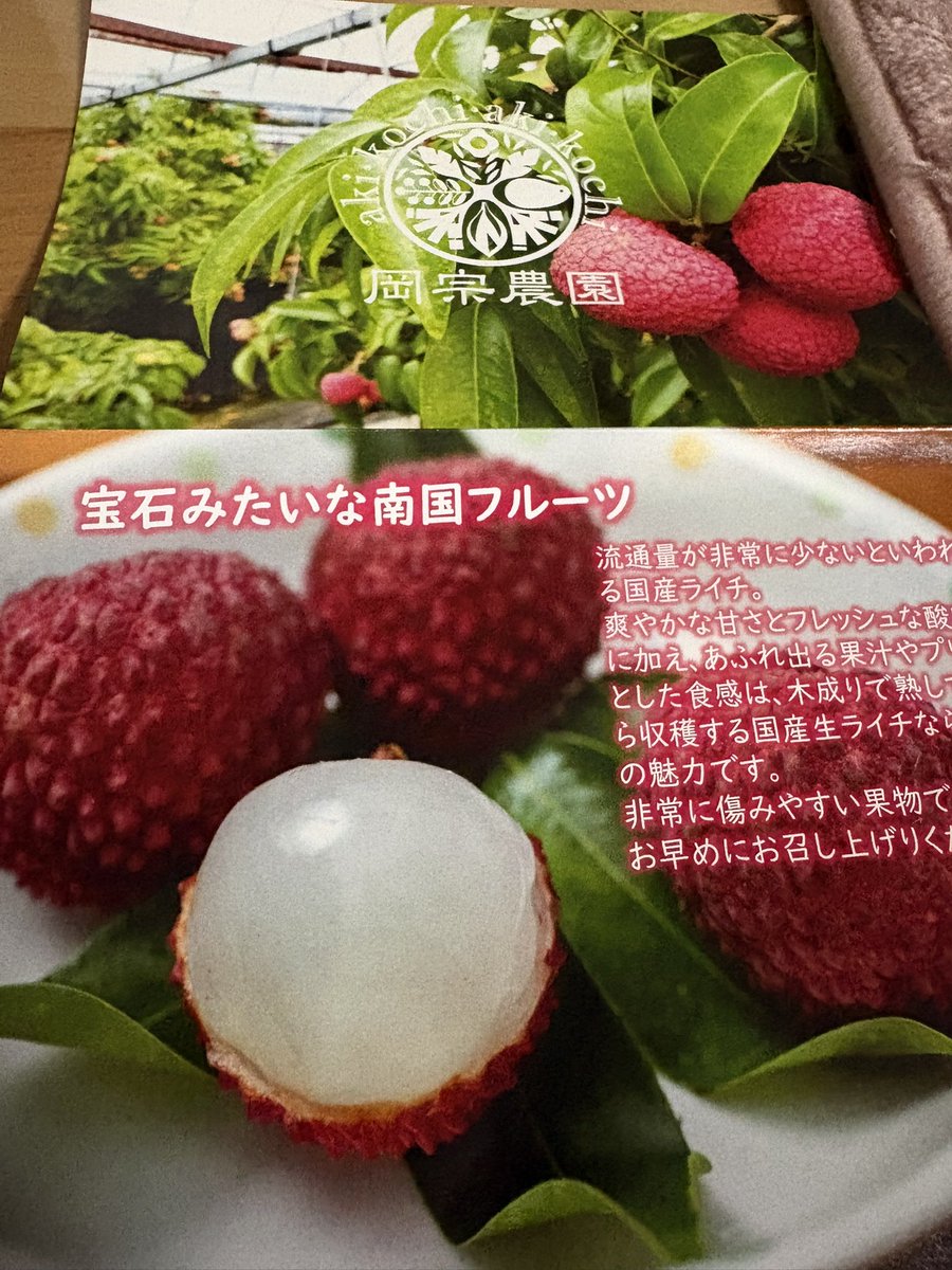 seenseen123's tweet photo. @Baiyu728 中身はこんな感じでプルプルジューシーでした😋
中国ドラマにも出てくるので今回初ライチ頼んじゃいました😆 https://t.co/OlOVAeWFHs