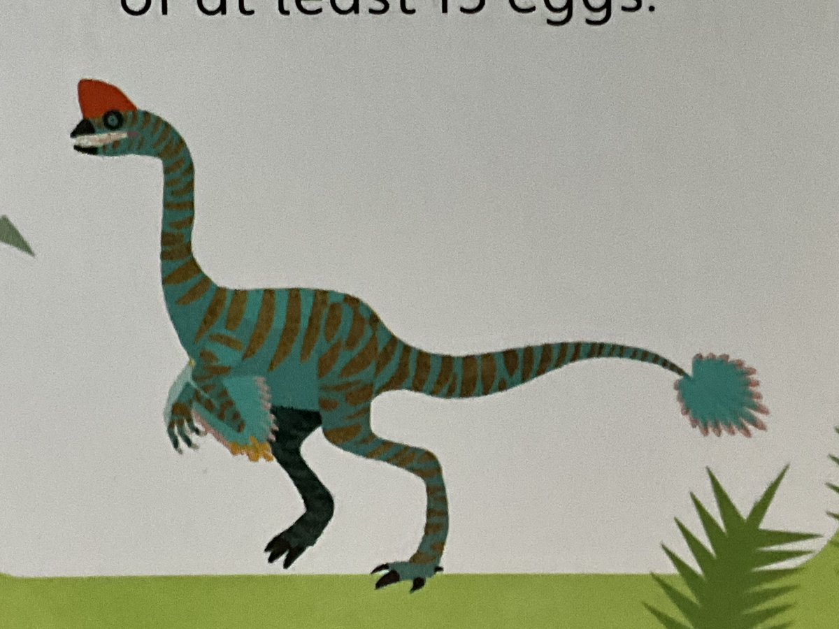 JordanWill46355's tweet photo. Danny the Oviraptor visited Canada #CanadaDay https://t.co/VwQA7gSLMq