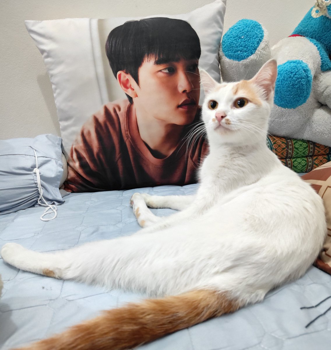 skyblue_712's tweet photo. แมว❌ ลิง✅ 🤣🤣🤣 https://t.co/D0pJdtEQDu