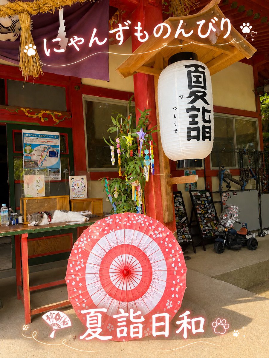 wakakusa_inari's tweet photo. いよいよ七月を迎えました！
連日、夏らしい日差しが続き。

にゃんず🐾も...
心地良い風が吹く時間帯は。

ゆっくり、のんびり〜

気持ちよさそうに！
伸びています🎐

#若草稲荷神社
#お朔日参り
#夏詣
#文月詣
#若草にゃんず🐾 https://t.co/mmlpZ7QCOI