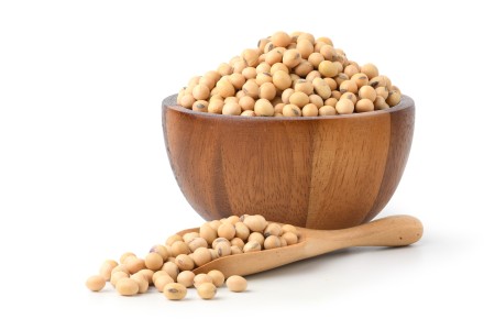 InformistMedia's tweet photo. 🌱SOPA expects soybean acreage to rise this kharif as farmers shift back from maize, aided by attractive soybean prices.

Full details below:
https://t.co/57gzdieTLa https://t.co/dVlYFg5FZF