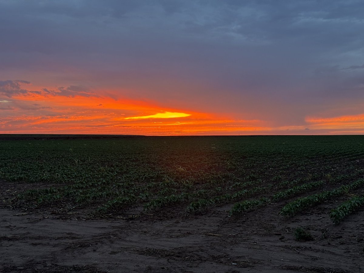 Emily_cfx's tweet photo. Dawn in West Texas after the storm. 
There’s no better painter than God. https://t.co/9UXuUom8IV