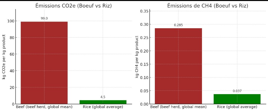 TBegoud's tweet photo. Des gens m'ont déjà reproché l'émission de méthane du riz car j'en consomme régulièrement (il ne doit y avoir que les vegans qui en mangent apparemment..
)

Des gens qui mangent des animaux !
Ils sont ridicules. Au mieux, pitoyables. https://t.co/T050IY7wui