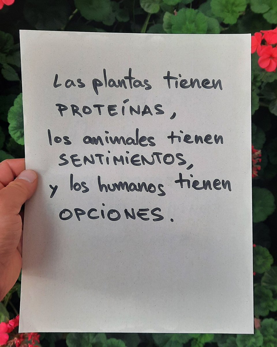 VeganFTAEspanol's tweet photo. Opta por el veganismo por los animales 🙏🌱

👉 Ayuda gratuita para hacerte vegan: https://t.co/hQhiQsMxuQ

#plantas #vacas #proteinavegetal #veganismopopular #thechoiceisyours https://t.co/99efWjZ8Os