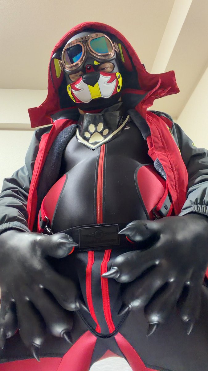 tuffet15's tweet photo. X登録8周年らしいので、久々にアモ着て撮ってみた！🐶✨
今年も半分終わりましたが、今年は年始から色んな人に見て貰えるようになって本当にありがたい限りです！
いま実はラバースーツをオーダーして到着待ってる状態なので今年の後半はそれ着てまたたくさん撮りたいなー！ https://t.co/GaSfH2Shg4