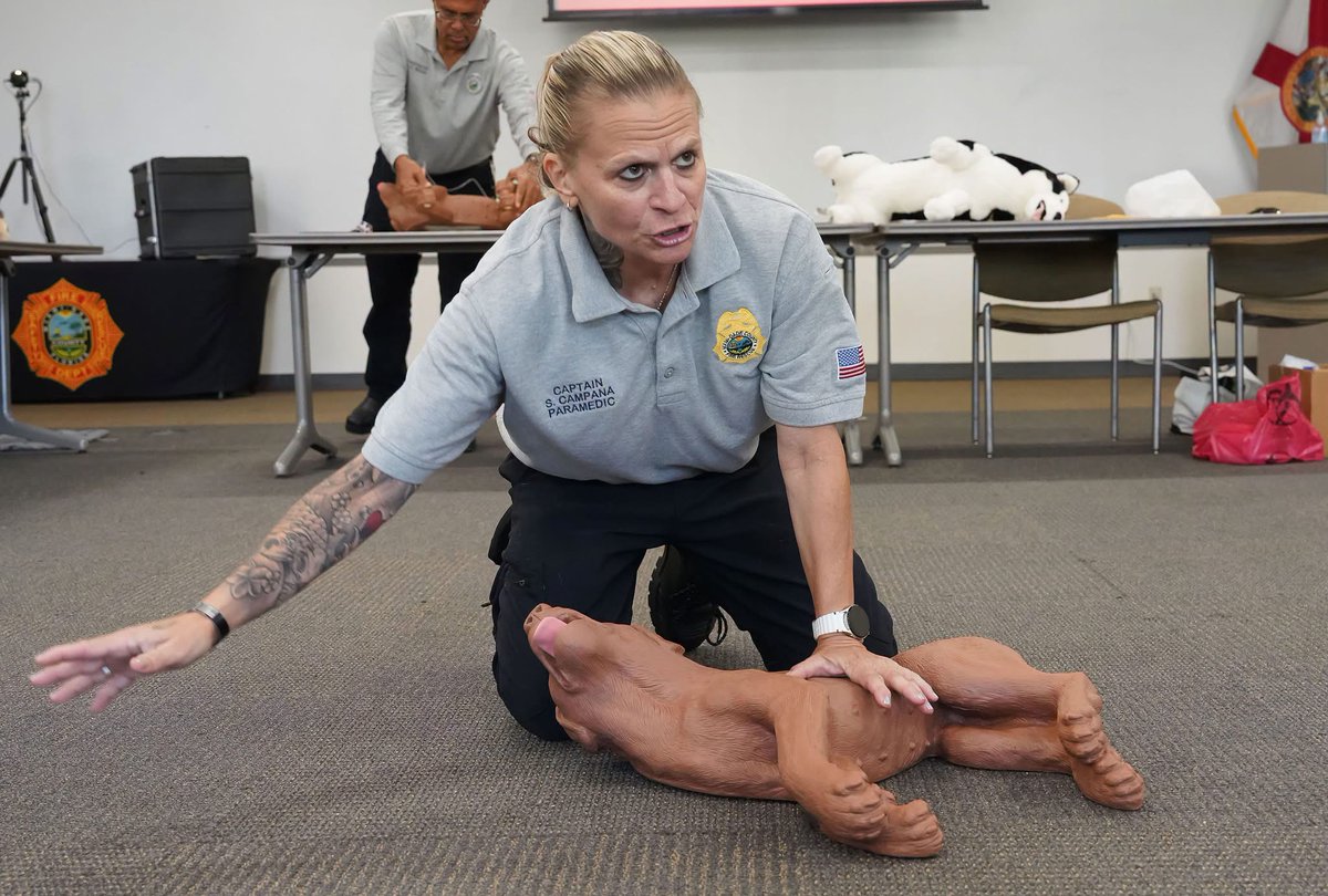 MiamiDadeFire's tweet photo. This week, Miami-Dade Fire Rescue hosted a K-9 CPR and First Aid course, equipping first responders with the skills to care for their four-legged partners during medical emergencies.
Led by Capt. Shawn Campana, #MDFR's K-9 Crisis Response Program Coordinator, led participants in learning canine assessment, CPR, and first aid techniques.