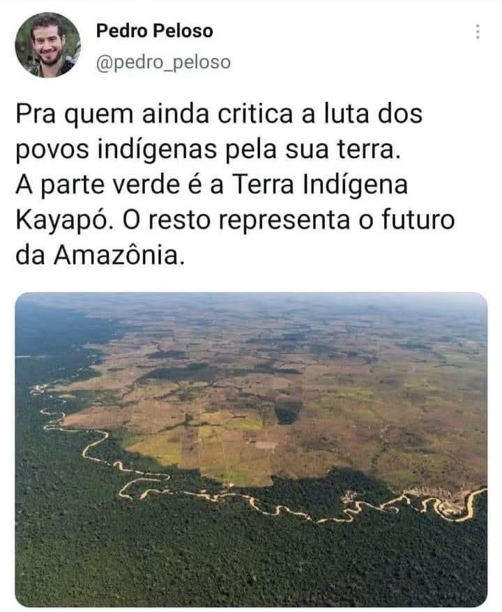 carvalho_harlen's tweet photo. https://t.co/2G82ZryATW