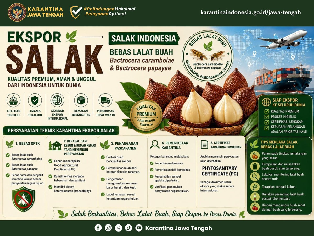 karantinajateng's tweet photo. Salak Premium Siap Ekspor Bebas Lalat Buah

https://t.co/s59wMGnY8s https://t.co/7vhG20RMDA