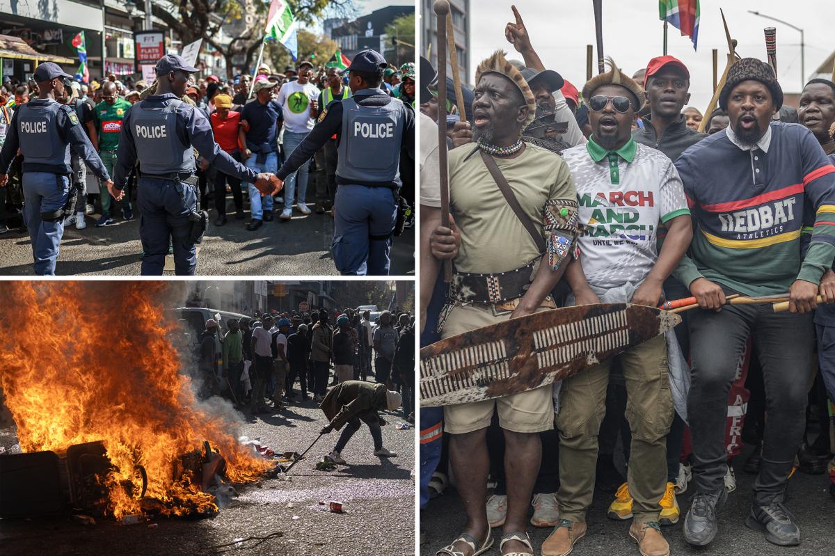 nypost's tweet photo. More than 900 protesters arrested in South African anti-immigration protest https://t.co/xeHFSoY5W4 https://t.co/VS7Hpx1XVu