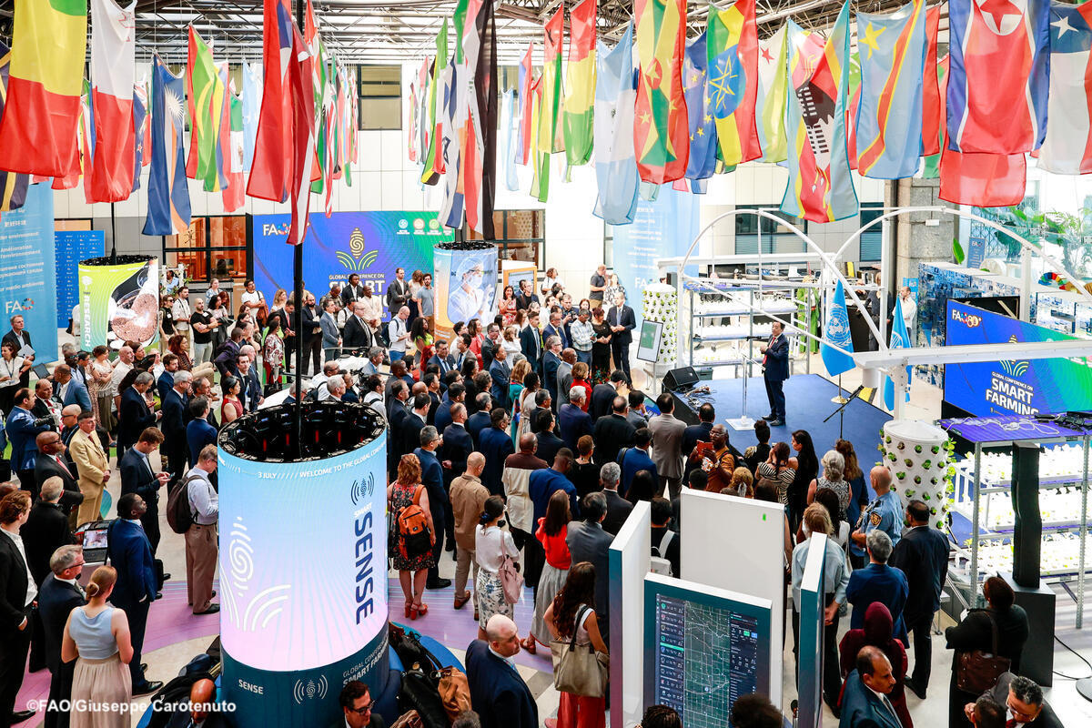 FAODG's tweet photo. From digital tools to a hydroponic greenhouse, @FAO's #SmartFarming exhibition showcases practical solutions already helping farmers produce more with less. Together with our partners across sectors, we are advancing #AgInnovation to transform agrifood systems for the #4Betters. https://t.co/Ox9omXQ1Yz