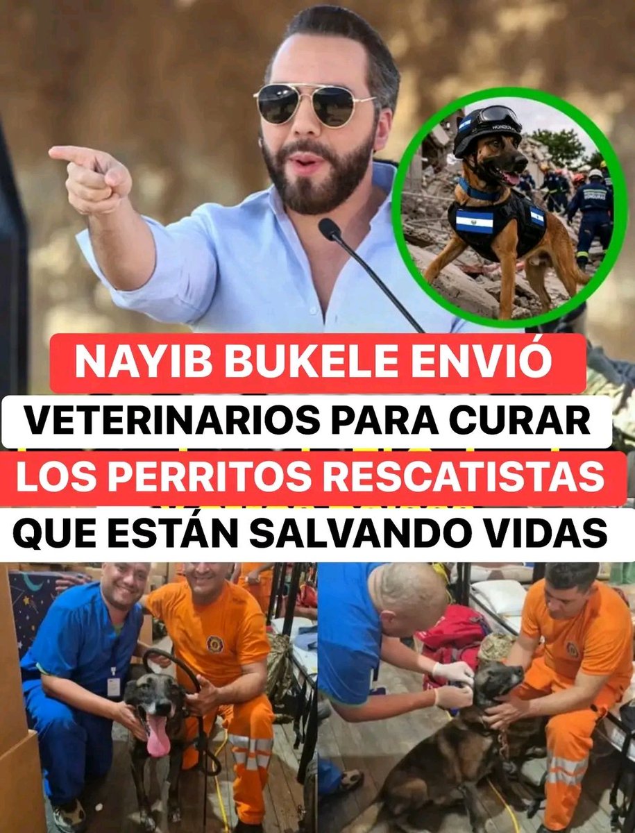 riveros_maris's tweet photo. Gracias señor 🙏🏼 ‼️👏🏻👏🏻👏🏻👏🏻👏🏻👏🏻👏🏻💕🐕💕 https://t.co/iADCxzRbM8