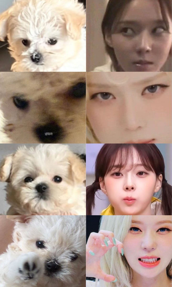shai5art's tweet photo. 어 민ㅈ 뽀뇨야? https://t.co/vLqQABH6It