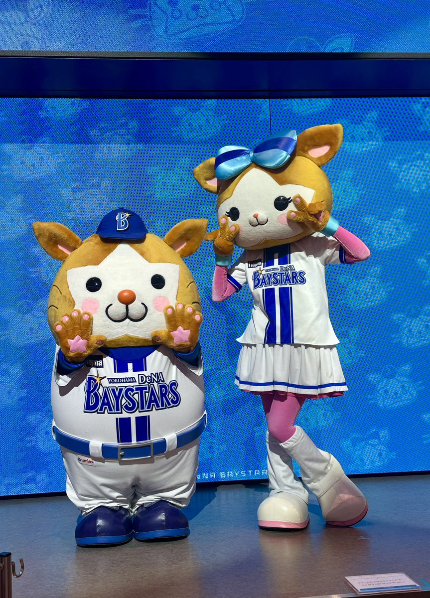 azuoaho's tweet photo. THE LIVE 新メニュー発売記念イベント⭐️
スターマンとキララちゃん可愛すぎた🐹💕💕💕また会いたいな💙
#ベイスターズ https://t.co/GIuB6mGTG9