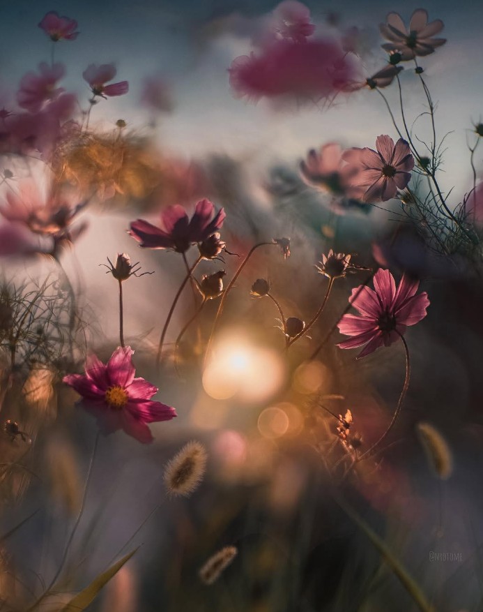 madrugada_m's tweet photo. Es ist so gut, das zu wissen: daß in uns 
drinnen einer ist, der alles weiß, alles will, 
alles besser macht als wir selber.

Hermann Hesse 
aus: Demian https://t.co/dgIEhd3mTG