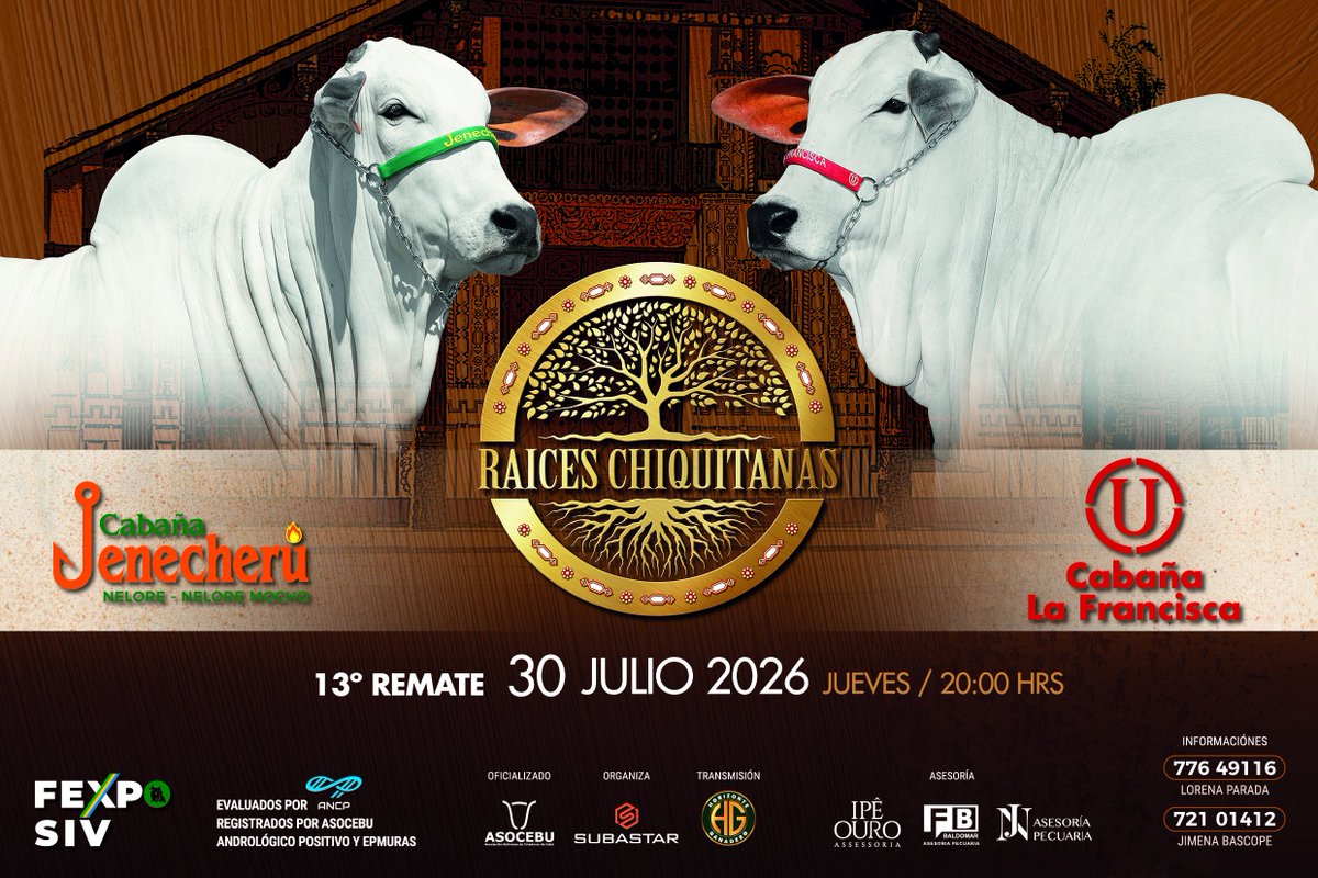 Publiagro's tweet photo. 📷ESPACIO SOLICITADO | Cabaña Jenecheru Genética

𝟭𝟯𝗩𝗢 𝗥𝗘𝗠𝗔𝗧𝗘 𝗥𝗔Í𝗖𝗘𝗦 𝗖𝗛𝗜𝗤𝗨𝗜𝗧𝗔𝗡𝗔𝗦 - 𝗖𝗮𝗯𝗮ñ𝗮 𝗝𝗲𝗻𝗲𝗰𝗵𝗲𝗿ú 𝘆 𝗖𝗮𝗯𝗮ñ𝗮 𝗟𝗮 𝗙𝗿𝗮𝗻𝗰𝗶𝘀𝗰𝗮

📷 ¡Se viene lo mejor de nuestra zafra!

📷 𝗝𝘂𝗲𝘃𝗲𝘀 𝟯𝟬 𝗱𝗲 𝗝𝘂𝗹𝗶𝗼
📷 𝟮𝟬:𝟬𝟬 https://t.co/LQmgUasPkP