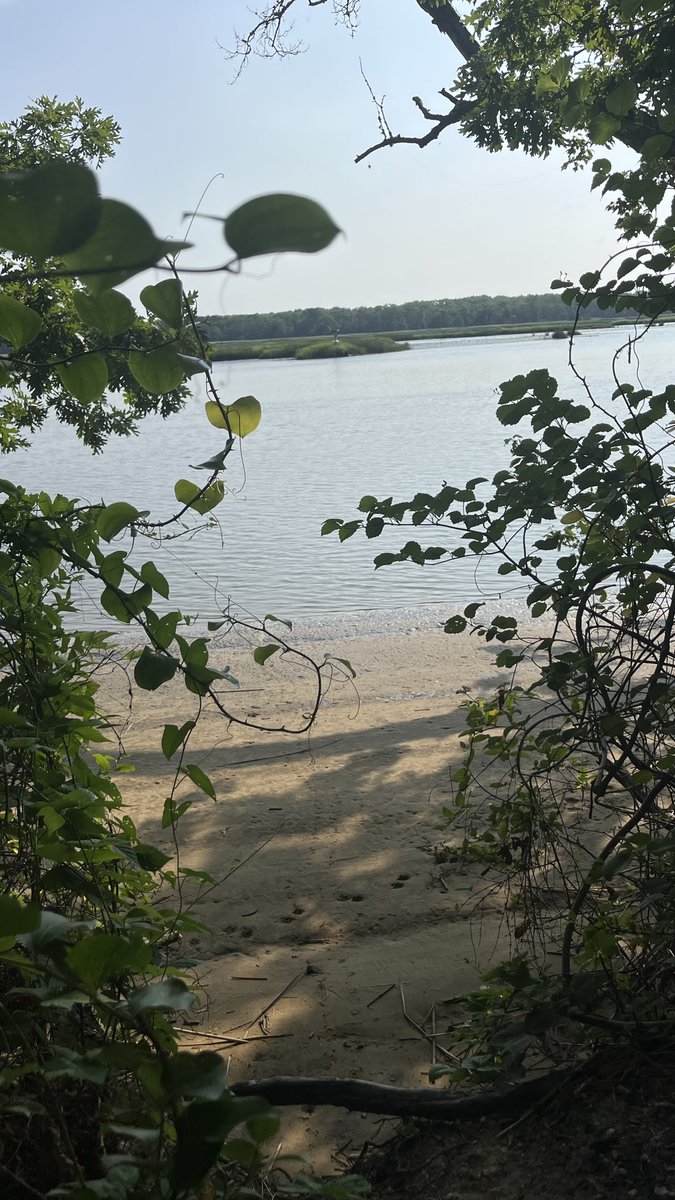 TanyellWalker28's tweet photo. Good way to start my morning. Went hiking, loved the views https://t.co/2L2yWxSJRD