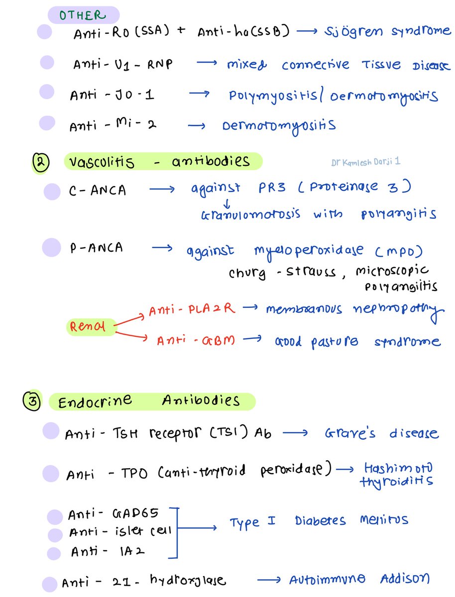 DrKamleshDarji1's tweet photo. Topic 78 : Antibodies and diseases (High-yield 36 antibodies used in routine practice) - 78/100 #NEETPG https://t.co/2zMcx6mV0w