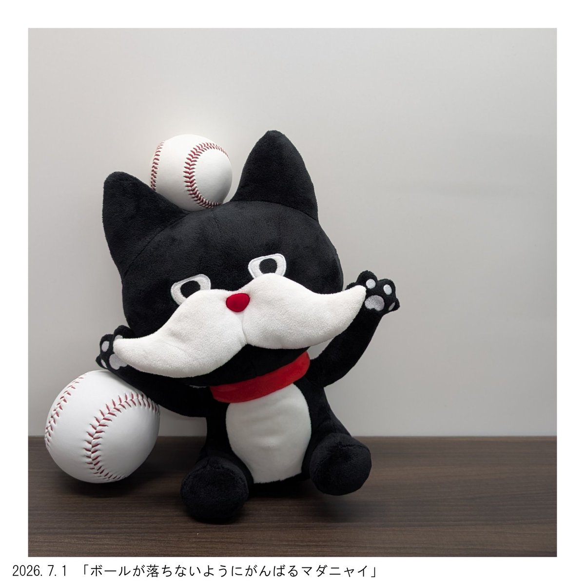 asahi_chiba's tweet photo. 【#千葉に来たマダニャイ】
千葉総局のマダニャイギャラリー①
「先月、総局に来てくれたマダニャイ。撮った写真を集めてみました」 https://t.co/2XbyK5e25G
