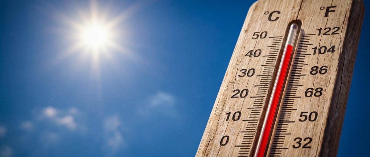 jcdhtweets's tweet photo. Heat-related illness can happen quickly during periods of extreme heat. Take steps to stay safe, stay hydrated, and know where to go if you need relief from the heat. 

Find local cooling stations https://t.co/iWnaTerC5N https://t.co/VFHv14FYfM