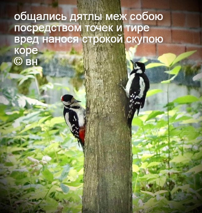 nabval1's tweet photo. https://t.co/5itXb2Fdh1