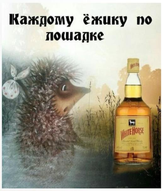 drunktwi's tweet photo. https://t.co/p6pshyWTDM