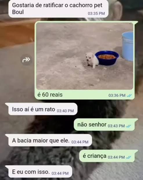 rabonetes's tweet photo. @atemus_ @doxie_gay esse? https://t.co/MLmcOl37Bk
