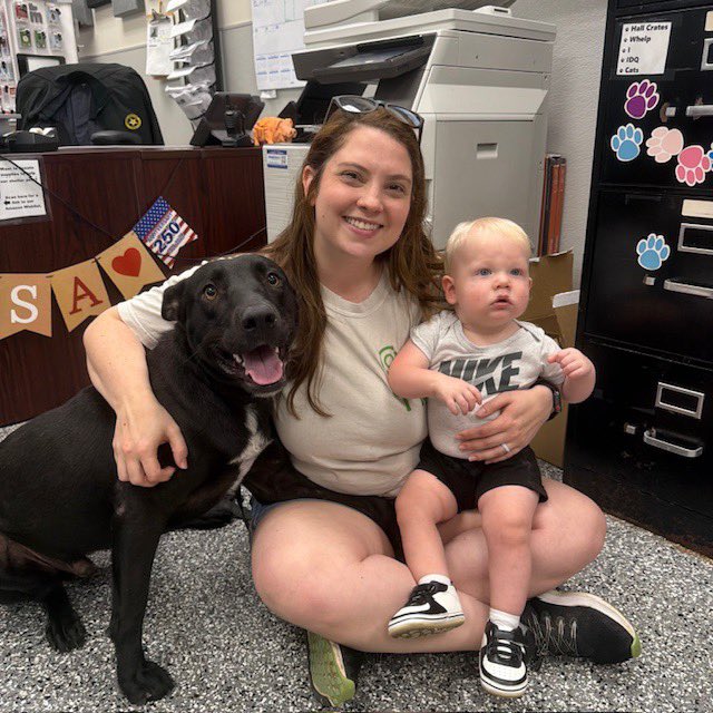 FBCASTX's tweet photo. Great news everyone! Obsidian has been adopted!!!
It's so great to see him looking so happy and loved in his new home.
Bonus: also pictured is his neighbor's dog, who was also adopted from FBCAS!!!
#pupdate #happytail #adoptdontshop https://t.co/AK6lGpHnYA