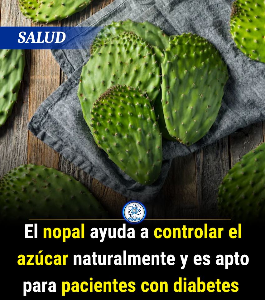 Enséñame de Ciencia tweet media