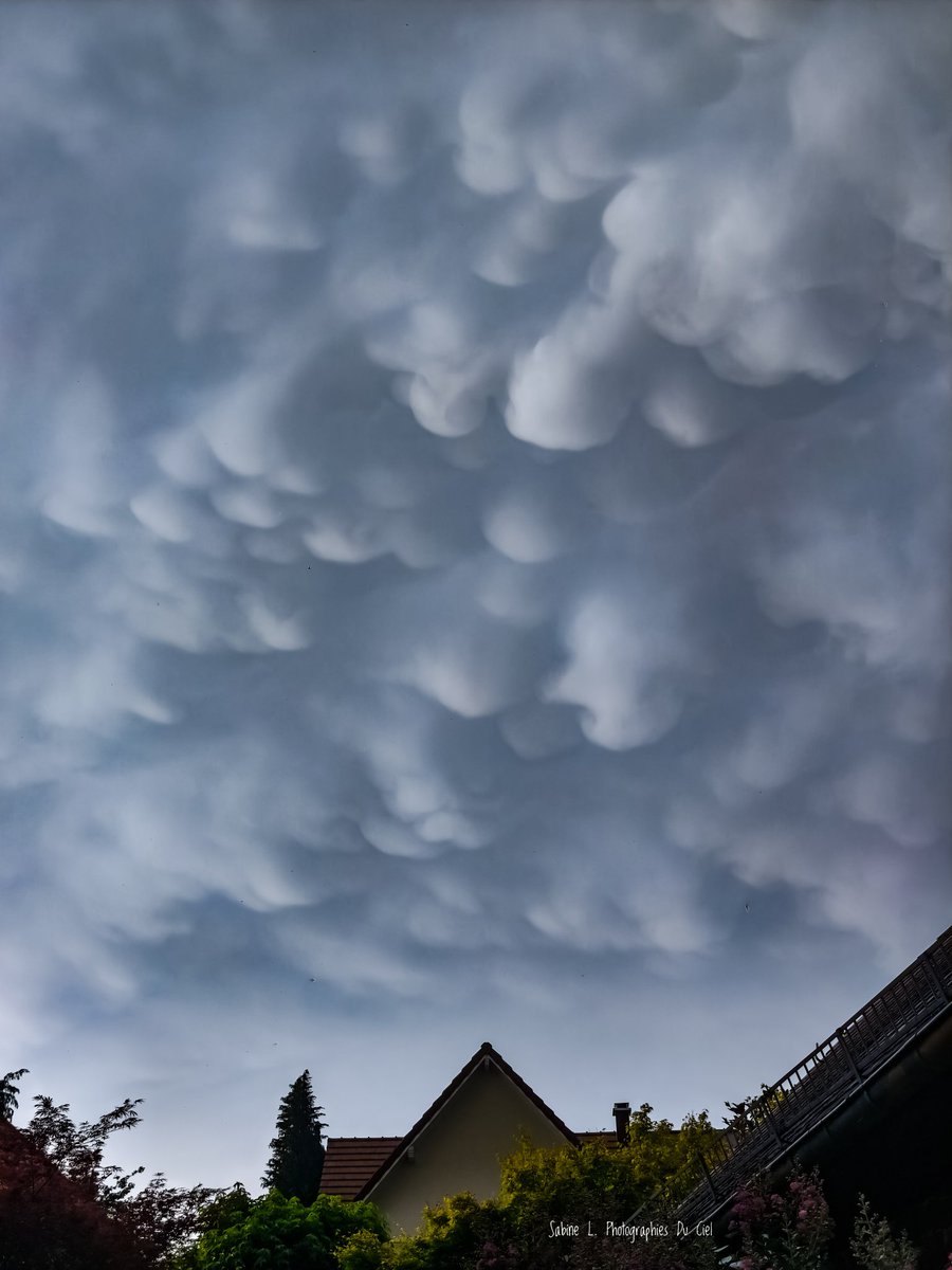 SabineL67's tweet photo. Se retrouver face au monstre!
Une base imposante, un cœur de précipitations intense et une structure digne des plus belles journées d'orage.
Des moments où l'on ressent toute la force de l'atmosphère🌩️
📷#Birkenwald (67) • 28/06/2026

#météo67 #orage #storm https://t.co/xzMqo8yvcL