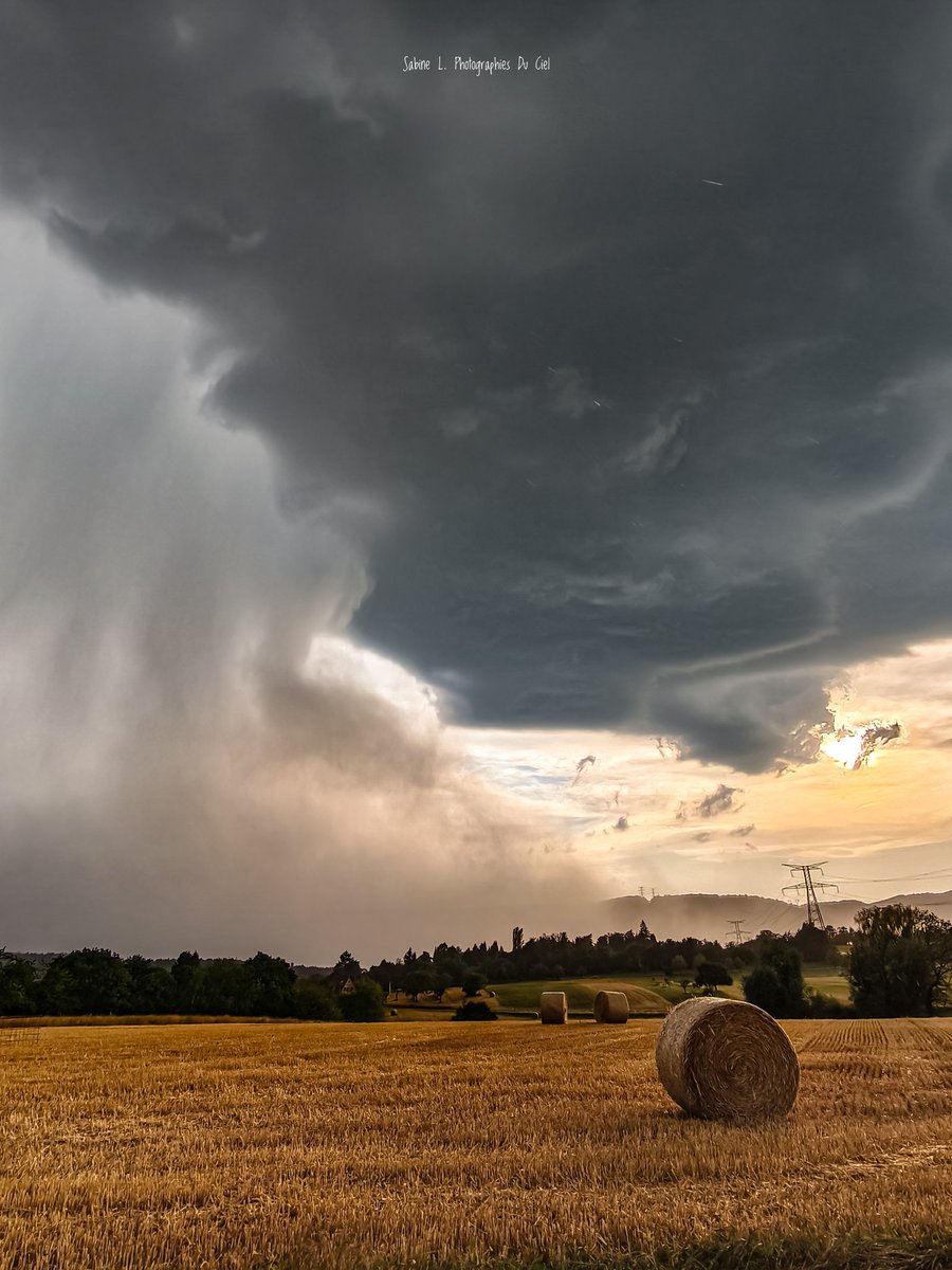 SabineL67's tweet photo. Se retrouver face au monstre!
Une base imposante, un cœur de précipitations intense et une structure digne des plus belles journées d'orage.
Des moments où l'on ressent toute la force de l'atmosphère🌩️
📷#Birkenwald (67) • 28/06/2026

#météo67 #orage #storm https://t.co/xzMqo8yvcL